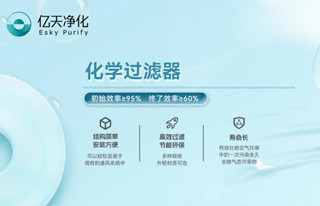 化學(xué)過(guò)濾器的吸附原理是什么?