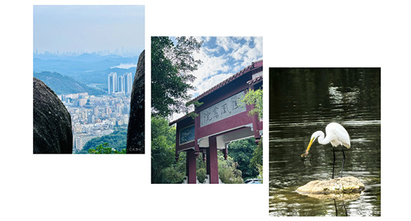 登山團(tuán)建丨攜手共進(jìn)&nbsp; 勇攀高峰