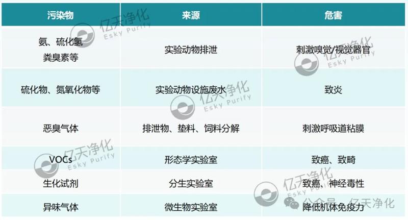清穹·實驗室空氣凈化柜--開啟實驗室空氣新“凈”界